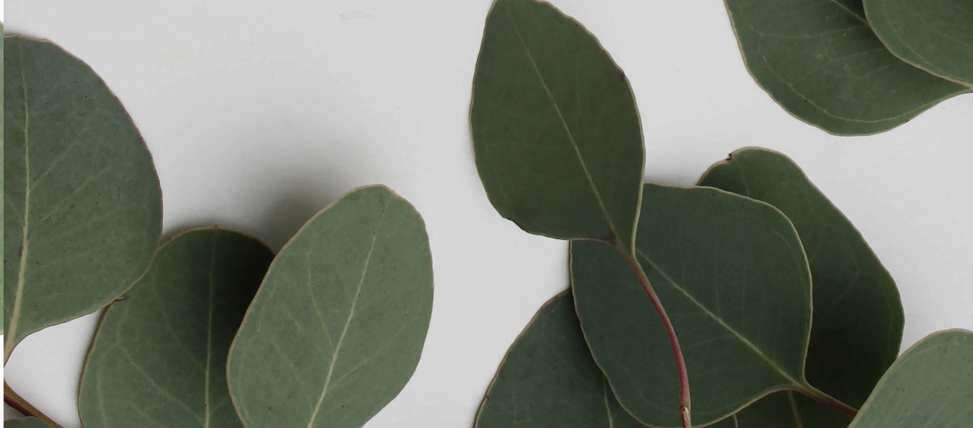 Взыскание ущерба от экологических правонарушений в Покровске